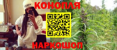 apvp Гай