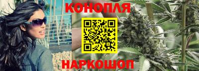 apvp Гай